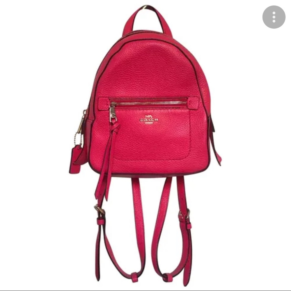 Leather backpack coach